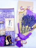 Combo Lavender + Tinh Dầu Lavender 1